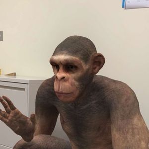 Meet your Posher, Alina